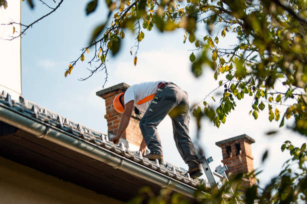 Best Storm Damage Roof Repair  in Athens, PA